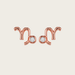 Capricorn