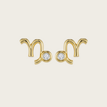 Capricorn