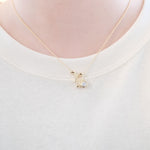 Capricorn