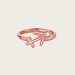 Sagittarius