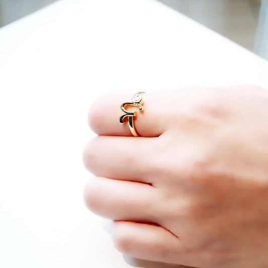 Celestial Whisper - Capricorn Constellation Ring - Your Talisman of Timeless Light